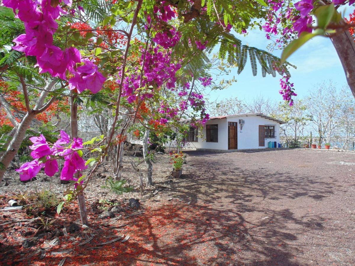 Casa Verde Vacation Garden Home San Cristóbal Kültér fotó
